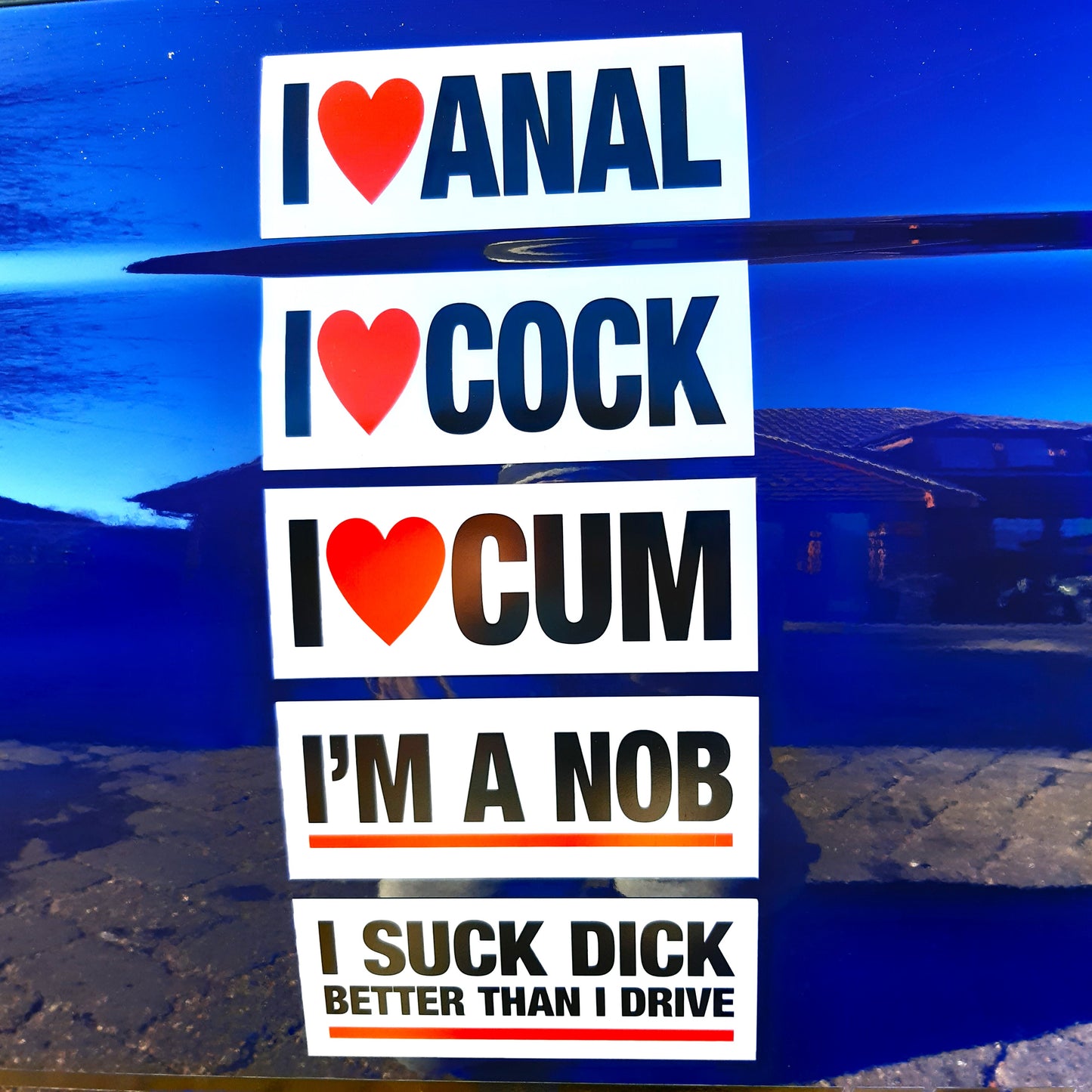 5 JOKE/PRANK MAGNETIC STICKERS