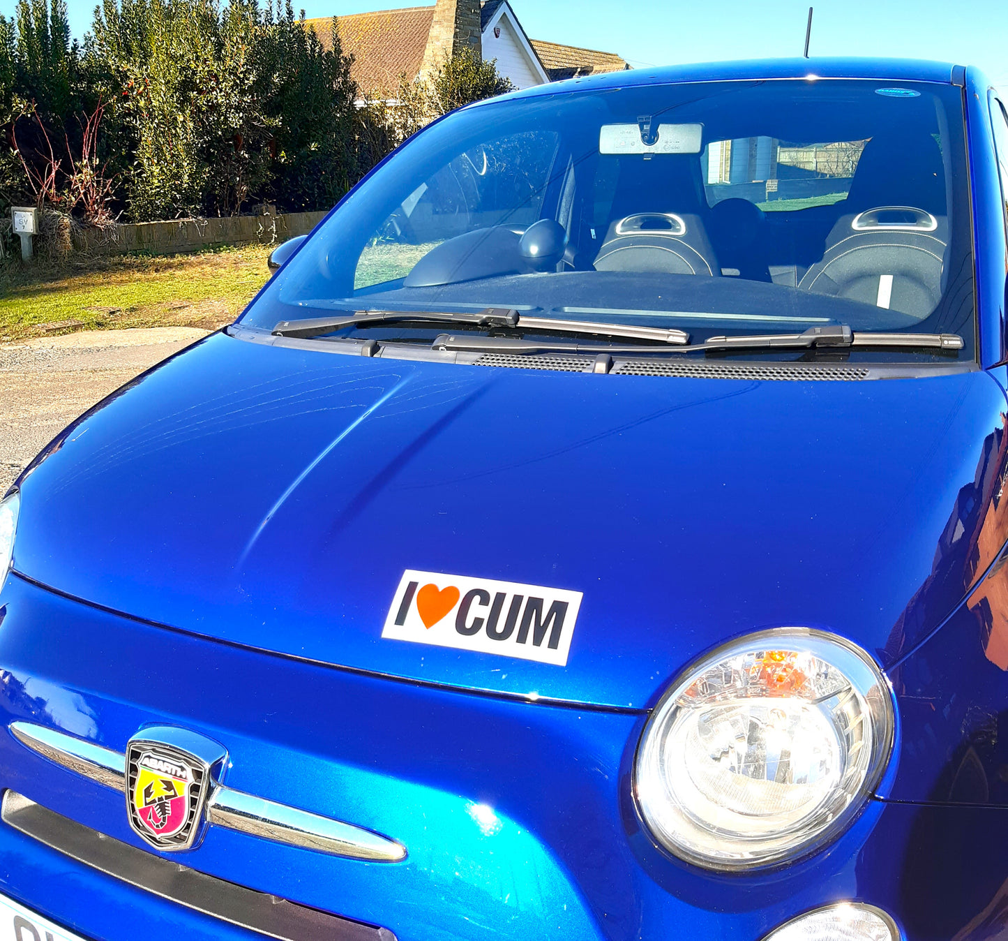 2 Joke Magnetic Car Stickers With "I LOVE CUM"