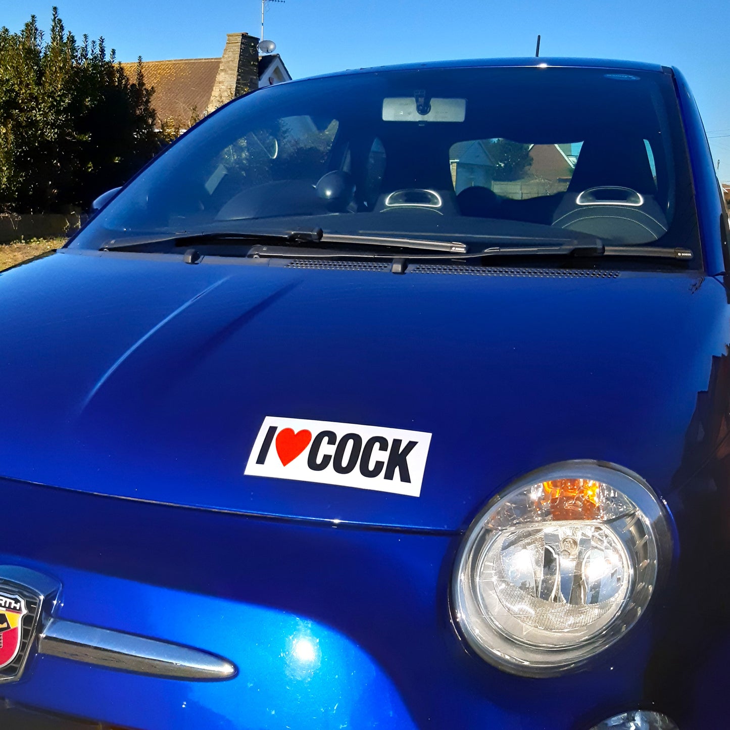2 Joke Magnetic Car Stickers With "I LOVE COCK"
