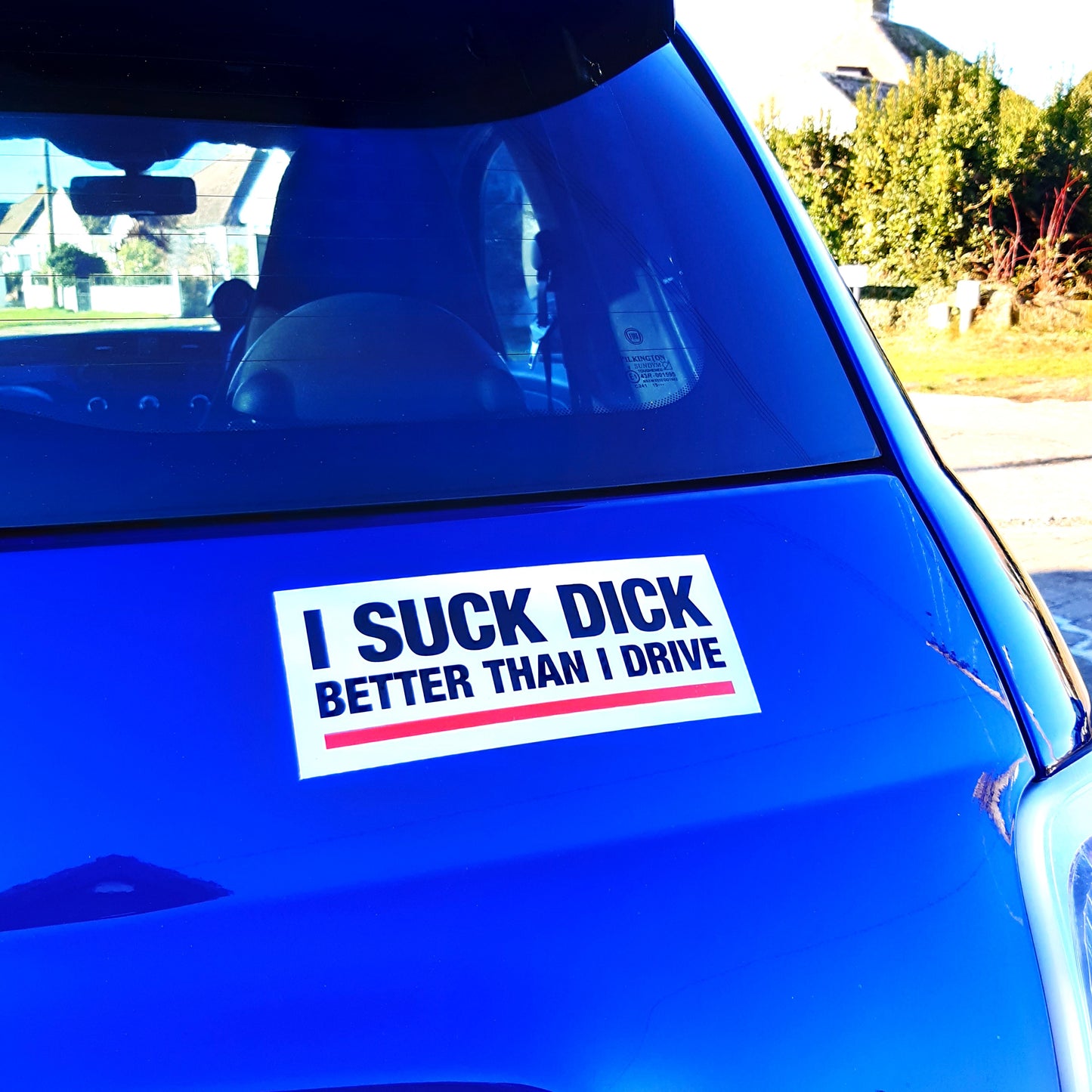 2 Joke Magnetic Car Stickers With "I SUCK DICK"