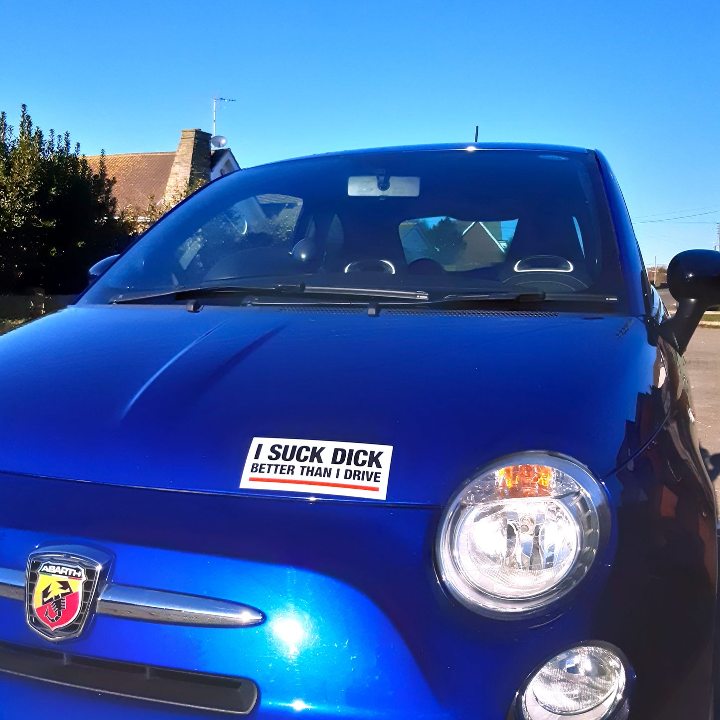 2 Joke Magnetic Car Stickers With "I SUCK DICK"