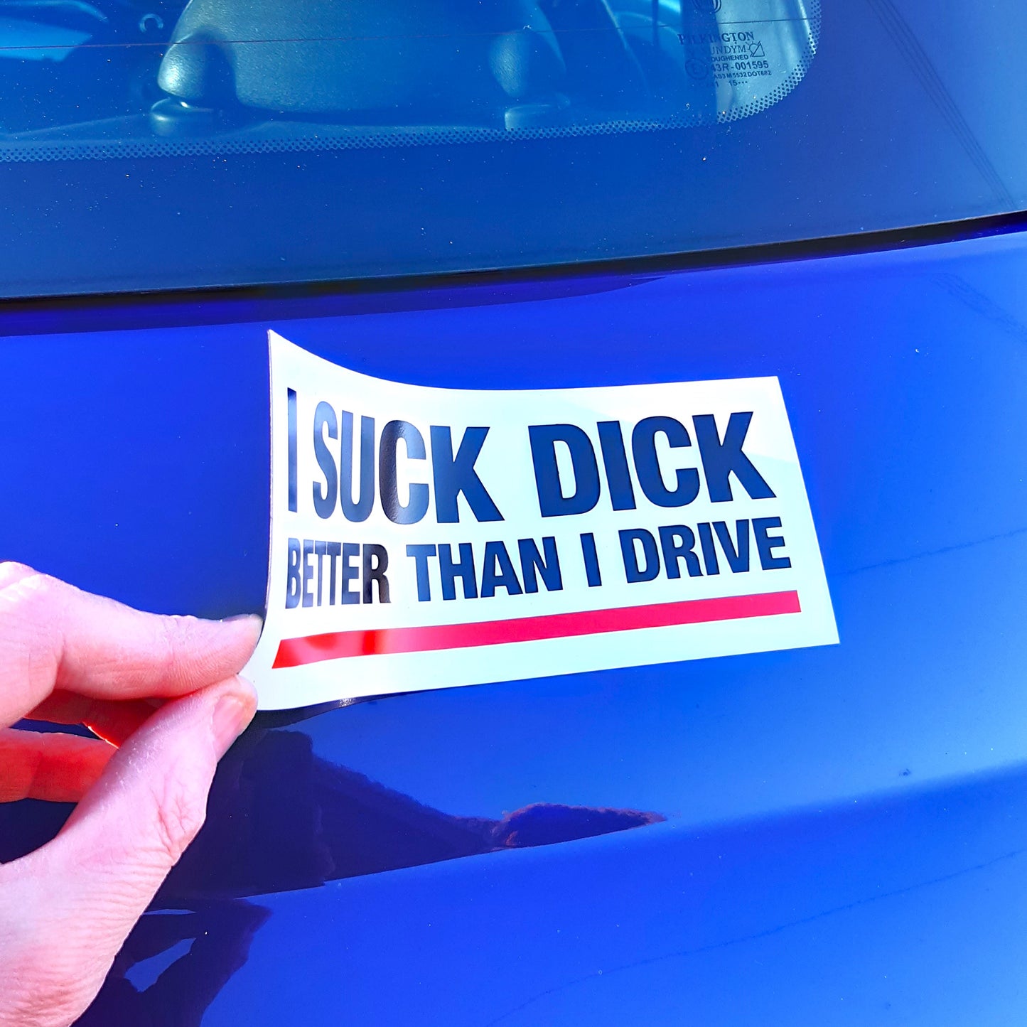 2 Joke Magnetic Car Stickers With "I SUCK DICK"