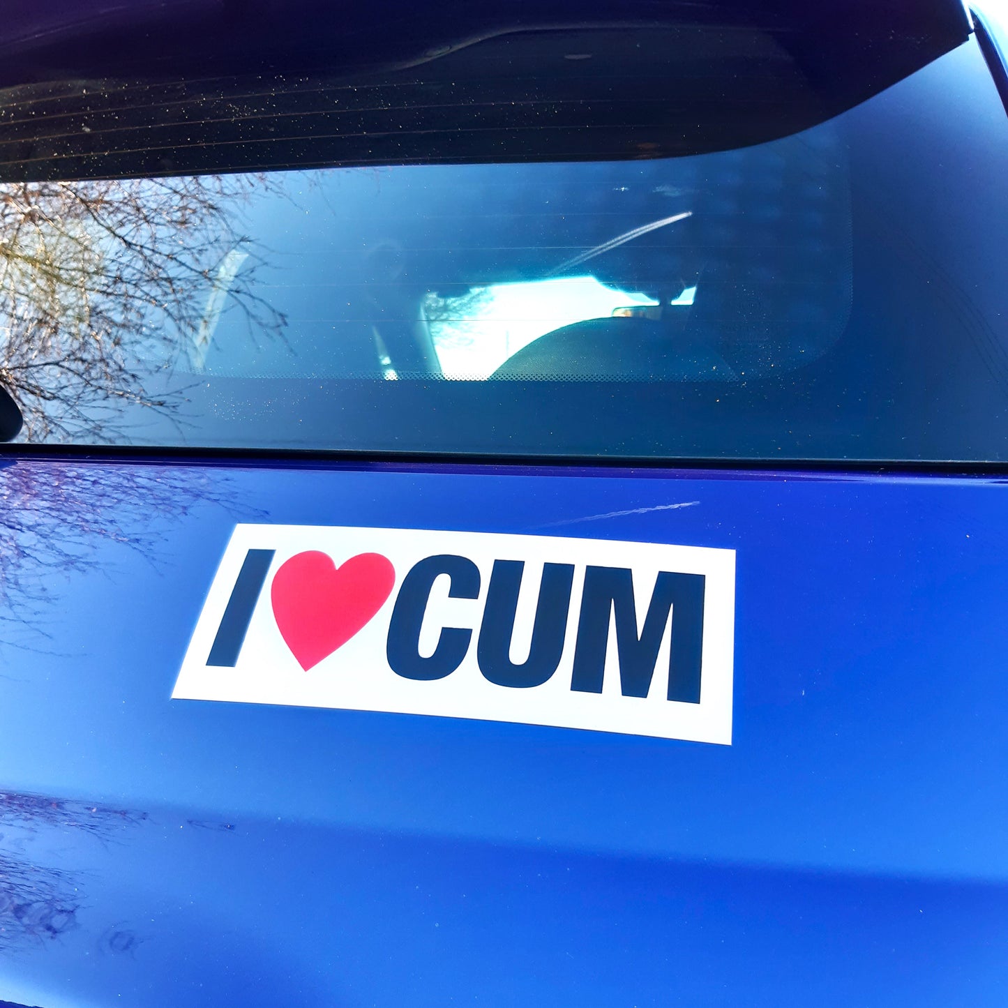 2 Joke Magnetic Car Stickers With "I LOVE CUM"